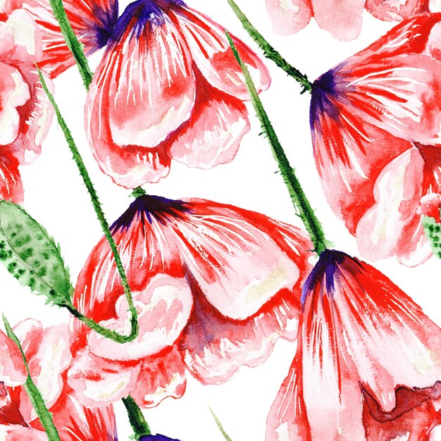 Poppy Watercolor Pattern