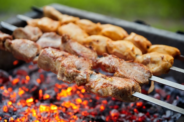 Pork and chicken skewers are fried on skewers on the grill