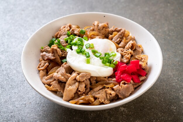 pork rice bowl with egg (Donburi) - japanese food