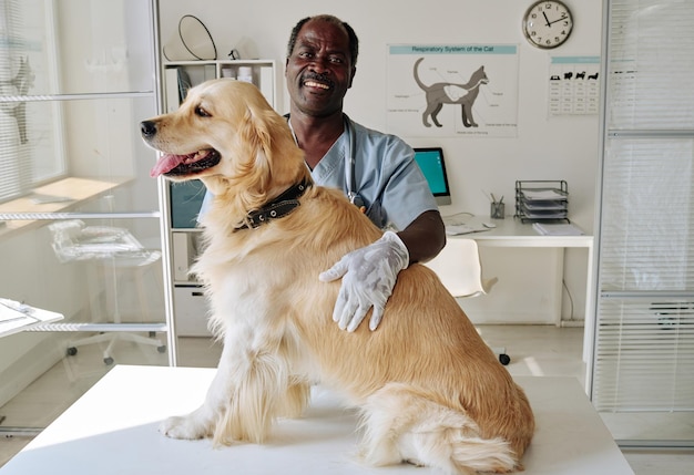 Portrait of african vet with domestic pet smiling at camera while examining dog at his office