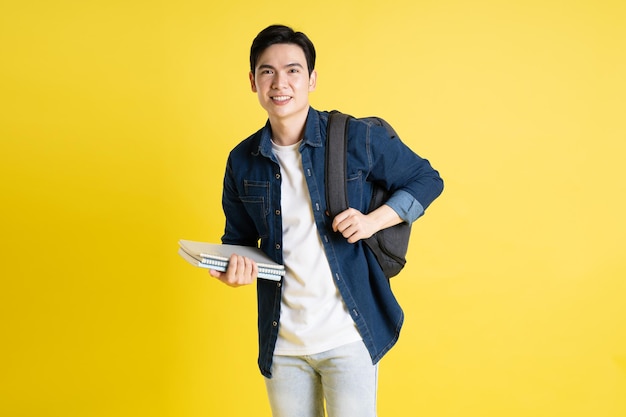 Portrait of Asian male student posing on yellow background