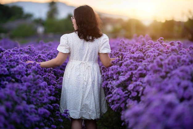 Portrait of asian Young woman happy traveler with white dress enjoying in white blooming or purple Michaelmas Daisy flower field in the nature garden of in Chiang MaiThailandtravel relax vacation