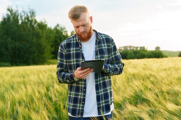 Portrait of a bearded farmer with a tablet who stands in a wheat field and writes information about the amount of harvest Environmental products