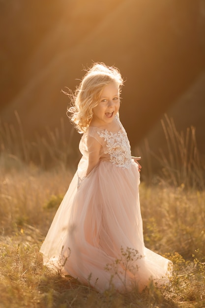 Portrait of a beautiful little princess girl in a pink dress. Posing in a field at sunset