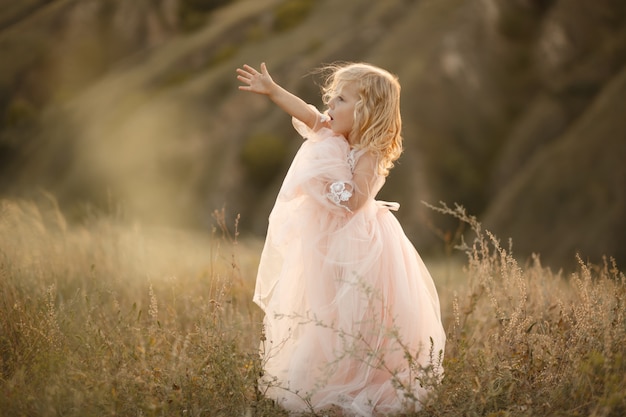 Portrait of a beautiful little princess girl in a pink dress. Posing in a field at sunset