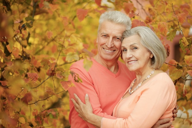 Portrait of beautiful senior couple hugging in the park