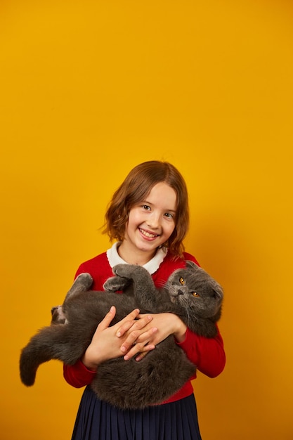 Portrait of the beautiful teen girl hugging her grey fat cat on yellow studio background love pet concept