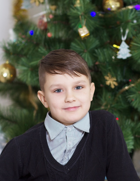 portrait of a boy near the new year tree