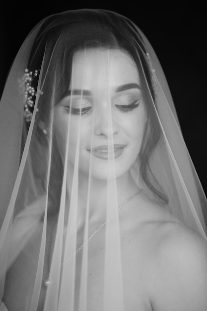 Portrait of the bride through the veil