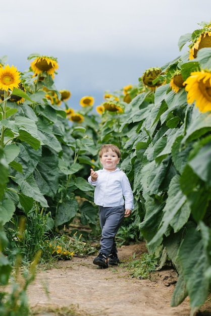 Portrait of a charming baby boy with a sunflower on a summer field The concept of children's happiness