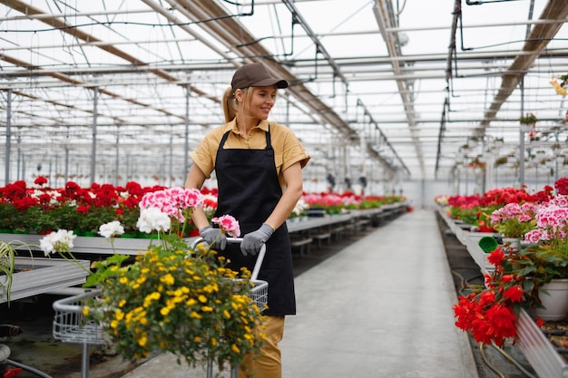 Portrait of cheerful cute female florist walking in flower shop pushing cart with flowers