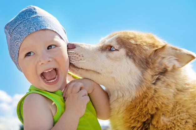 Portrait of cheerful joyful kid with husky dog on sunny summer day