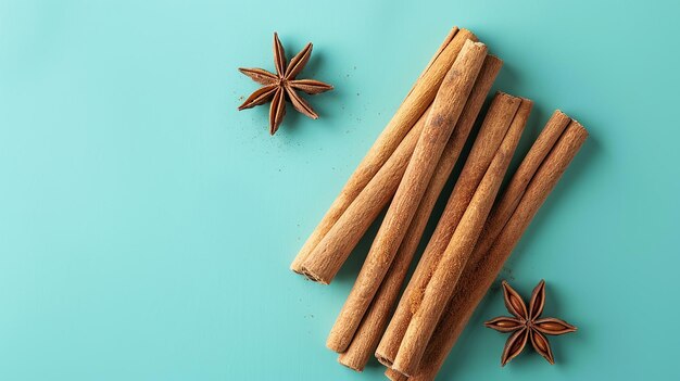 Photo portrait of cinnamon swirl isolated on flat color background