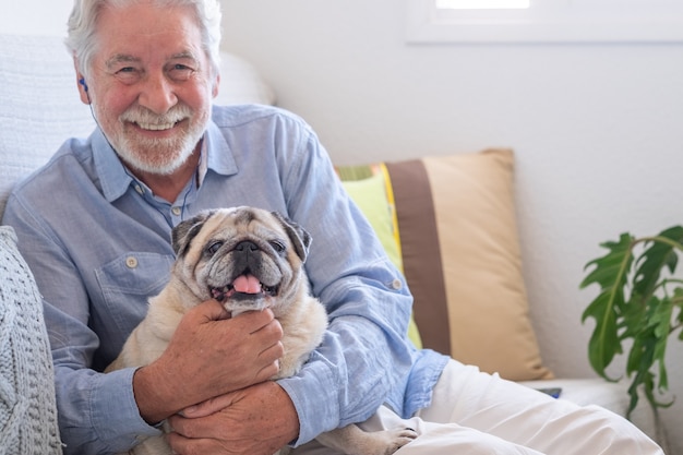 Portrait of clear purebred pug dog sitting with his senior owner on the sofa at home