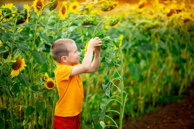 Portrait of a cute boy in nature