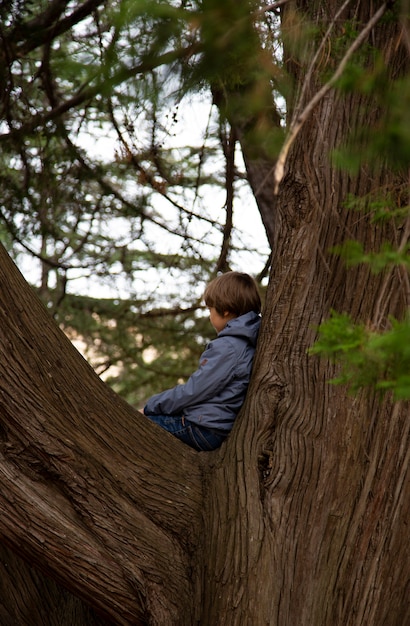 Portrait of cute kid boy sitting on the big old tree on sunny day. Child climbing a tree. little boy sitting on tree branch. Outdoors. Sunny day. Active boy playing in the garden. Lifestyle concept