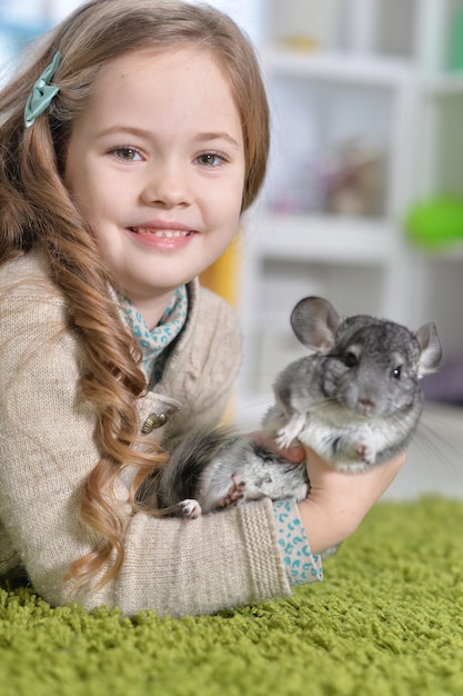 Portrait of a cute little girl playing with chinchilla