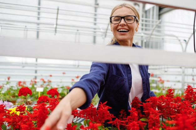 Portrait of a cute mature woman in glasses buying flowers in a garden center or greenhouse