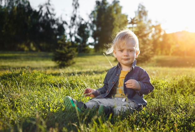 Portrait of a cute toddler boy sitting in a field among the grass at sunset. A child walks in the park. On open air. Happy summer and lifestyle concept. Childhood.