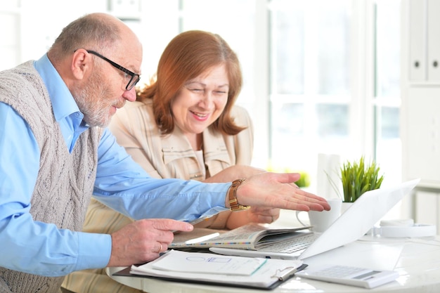 Portrait of an elderly couple with a laptop