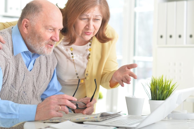 Portrait of an elderly couple with a laptop