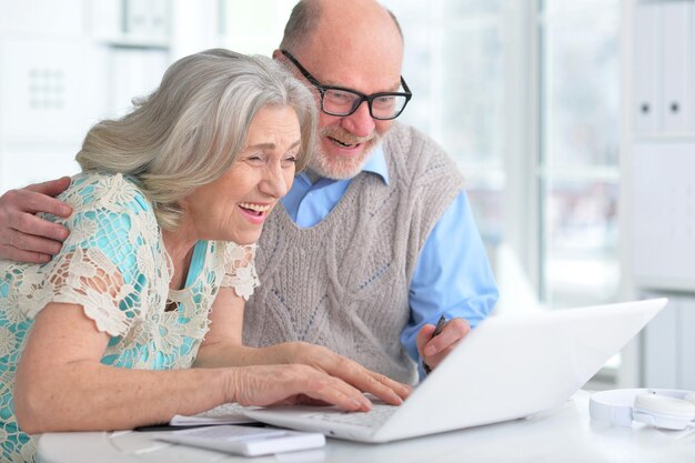 Portrait of an elderly couple with a laptop