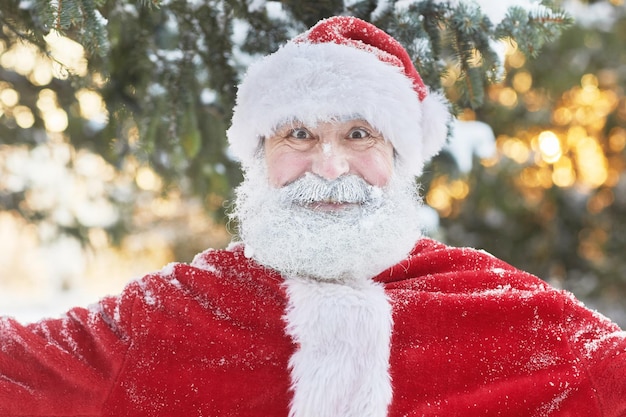 Portrait of excited santa claus covered in snow smiling at camera outdoors with winter forest backgr