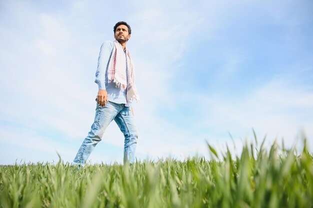 Portrait of farmer standing in a wheat field farmer stands in green wheat field looks examines his crop