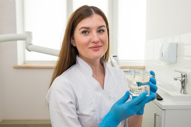 Portrait of a female dentist with an artificial jaw in her hands