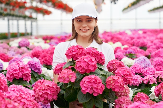 Portrait of florist posing among colorful blooming hydrangea