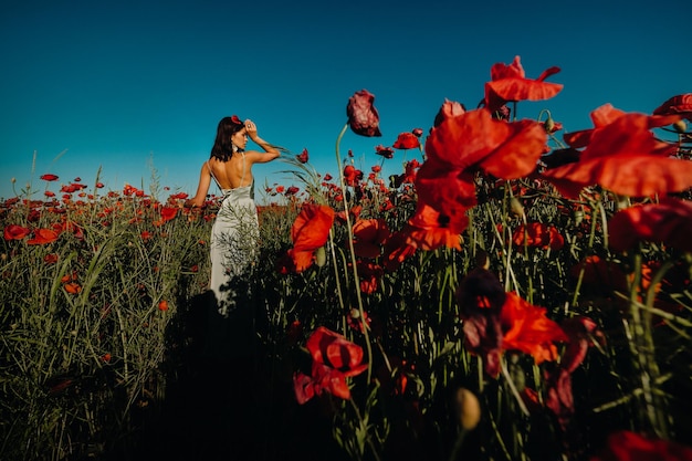 Portrait of a girl in a dress on a poppy field at sunset