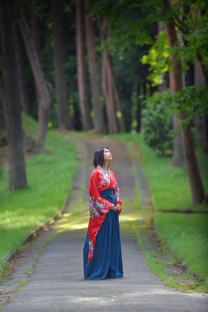 Portrait of girl in Japanese style costume