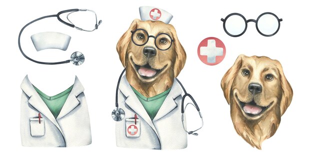 Photo portrait of a golden retriever dog in a doctor's costume watercolor illustration an isolated object from the veterinary collection for the design and design of advertising clinics pharmacies