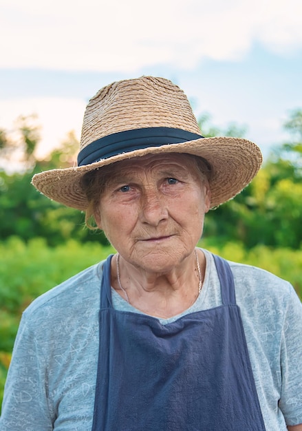 Portrait of a grandmother in the garden selective focus