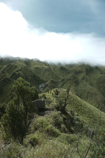 Portrait of Green Grass Mountains With Clouds Covering the Peak