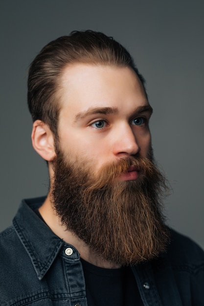 Portrait of handsome bearded man isolated on gray background