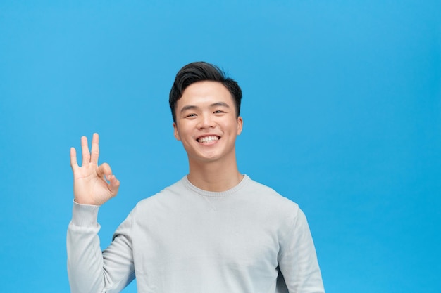 Portrait of happy excited asian guy doing approval ok gesture with fingers smiling