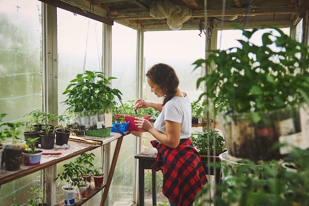 Portrait of happy female gardener enjoying time spent in country home greenhouse during growing vegetables