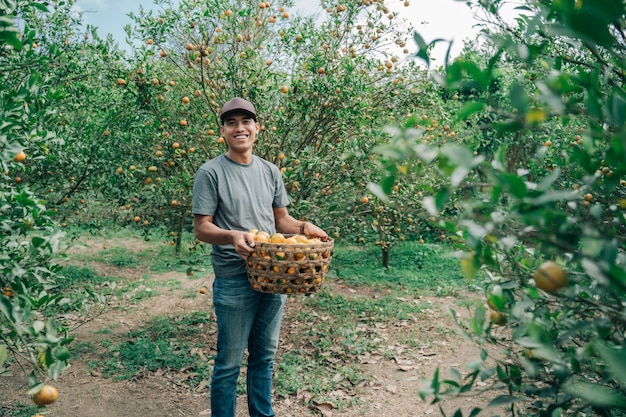 Portrait of happy male farmer harvest orange fruits in orange tree field