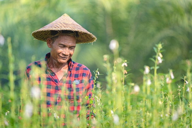 Portrait of a happy senior Asian farmer at Sesame Garden