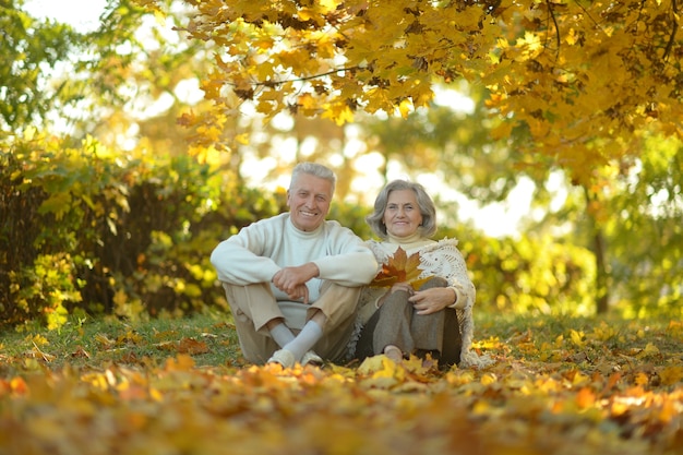 Portrait of a happy senior couple in autumn park