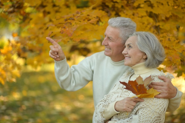 Portrait of a happy senior couple in autumn park