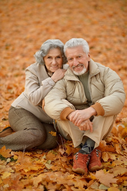 Portrait of a happy senior couple in autumn park