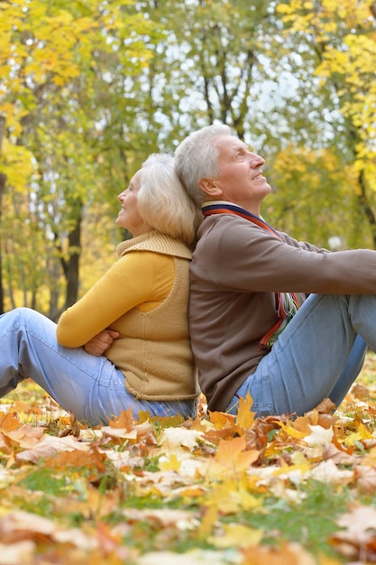 Portrait of a happy senior couple in autumn park