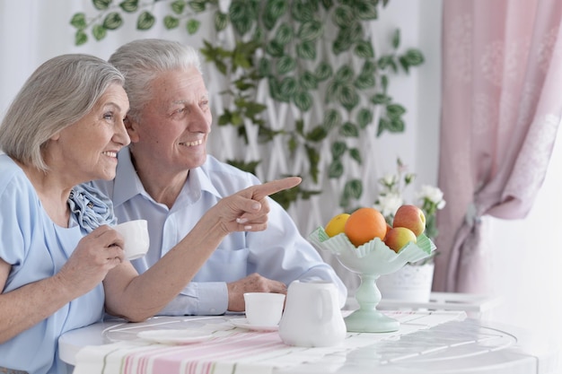 Portrait of happy senior couple at home