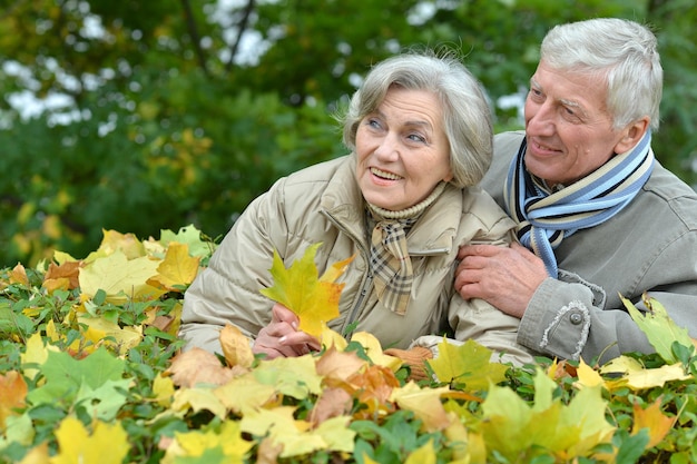 Portrait of happy senior couple lying in park