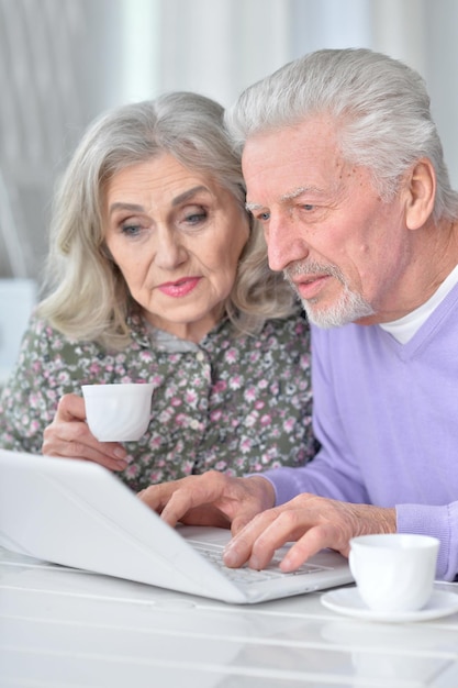 Portrait of happy senior couple using laptop