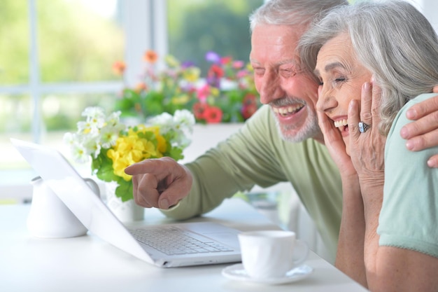 Portrait of happy senior couple with laptop