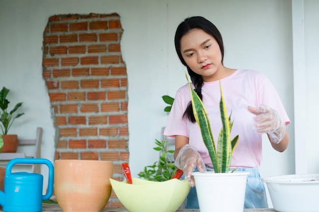 Portrait happy young girl plant a tree in pot at home Asian girl