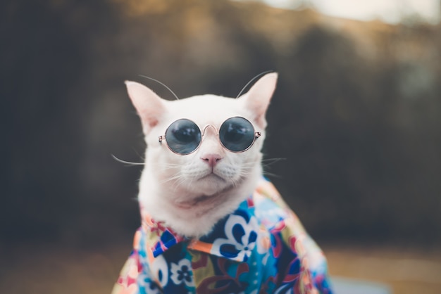 Portrait of Hipster White Cat wearing sunglasses and shirt